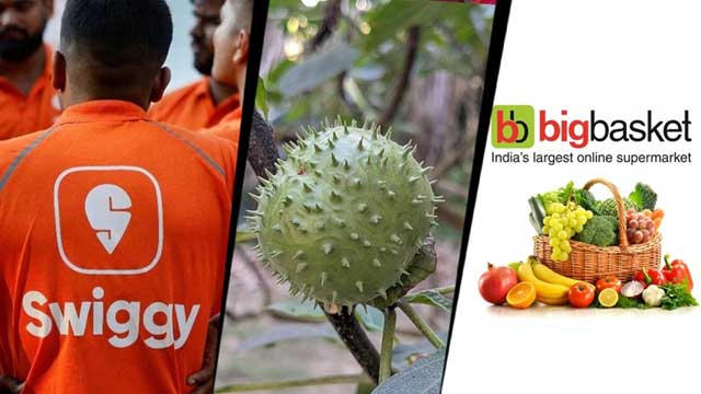 amazon-instamart-bigbasket-face-licence-suspension-in-karnataka-over-poisonous-datura-listing
